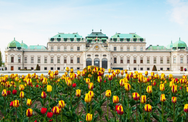 3-ти март в Братислава и Виена OT ВАРНА