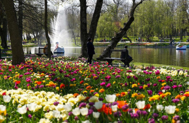 Пролетен празник в Крайова - 1 нощувка